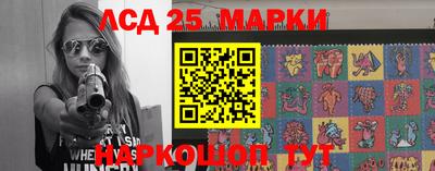 молекула духа Будённовск