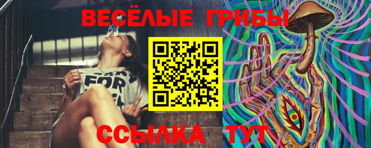 Псилоцибиновые грибы Cubensis Мыски