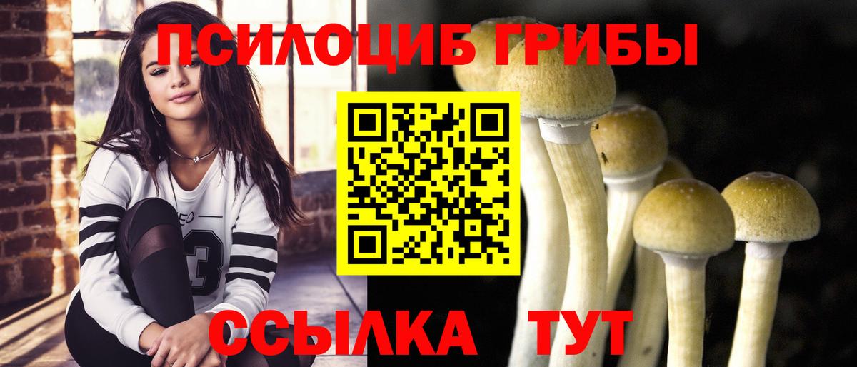 Галлюциногенные грибы Psilocybe  Псилоцибиновые грибы Psilocybe  Вход с VPN  Мыски 