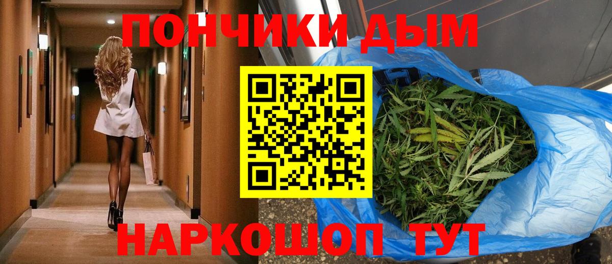 Бошки марихуана конопля Мыски